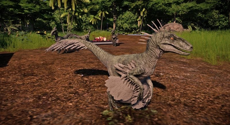 Experimental Feathered Raptors