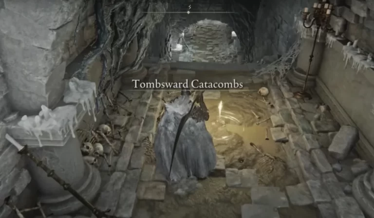 Our Guide on Elden Ring Tombsward Catacombs