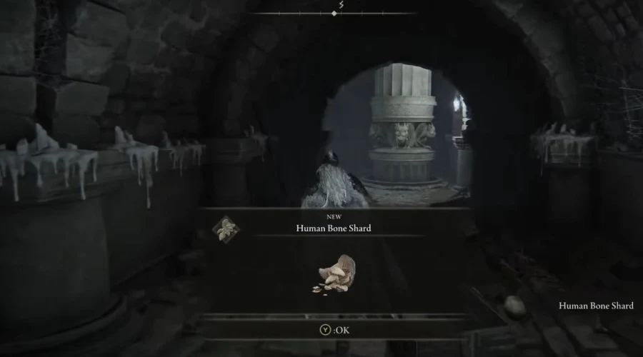 Human Bone Shard in Elden Ring Tombsward Catacombs