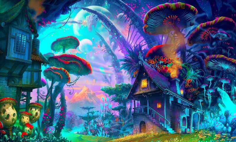 Magic Mushrooms