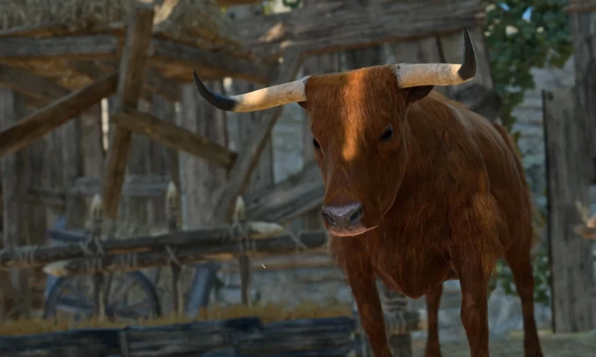 Enigma of the Strange Ox BG3