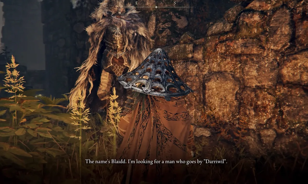 Meeting and Talking with Blaidd at Mistwood Ruins.