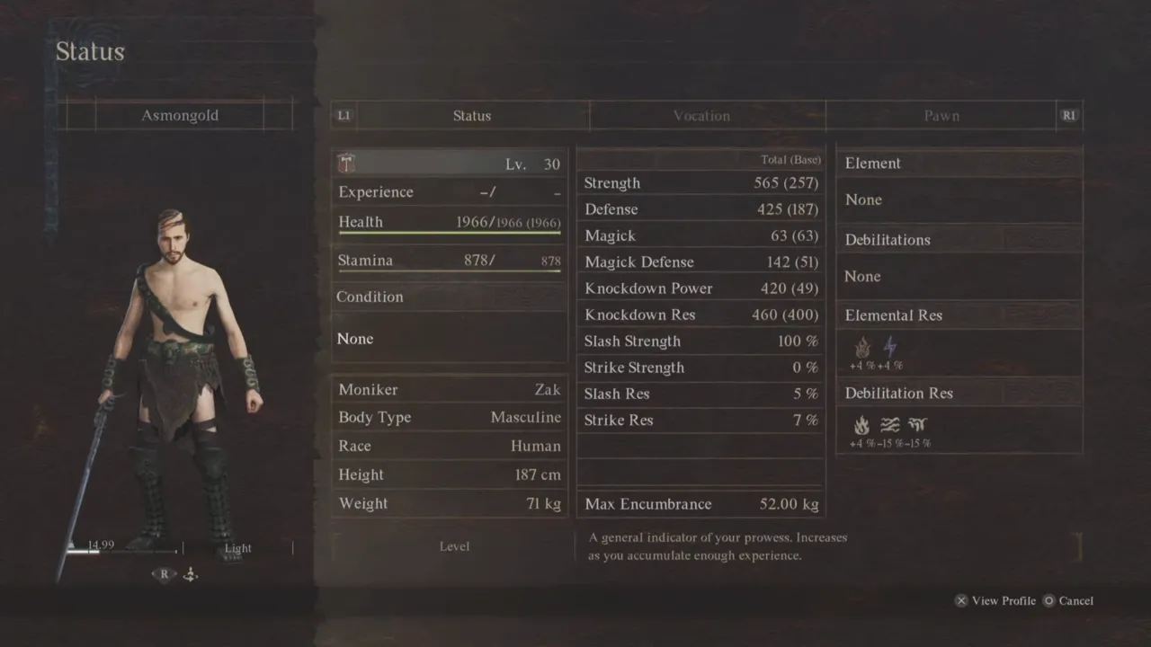 Asmongold's Pawn Stats in Dragon's Dogma 2