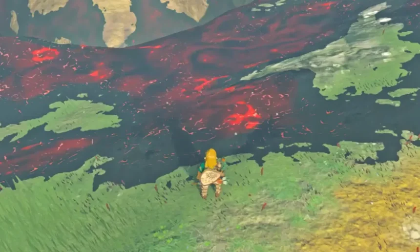 Zelda Tears of the Kingdom Forest of Time Chasm Location Guide