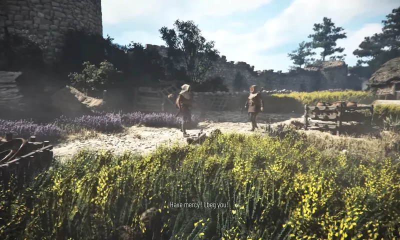 Hidden in the tall grass using crouch after leaving the castle.