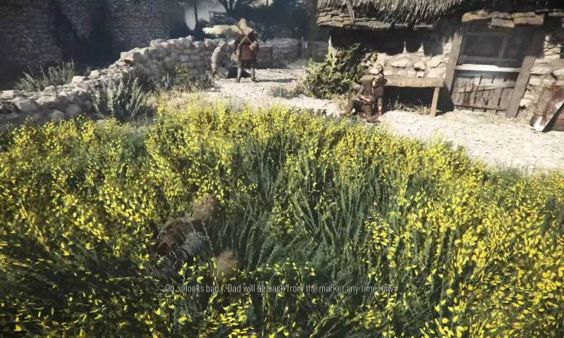 Sneakily walking in the cover of grass.