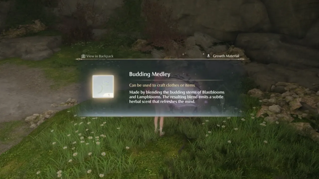 Infinity Nikki - collecting Budding Medley from the chest