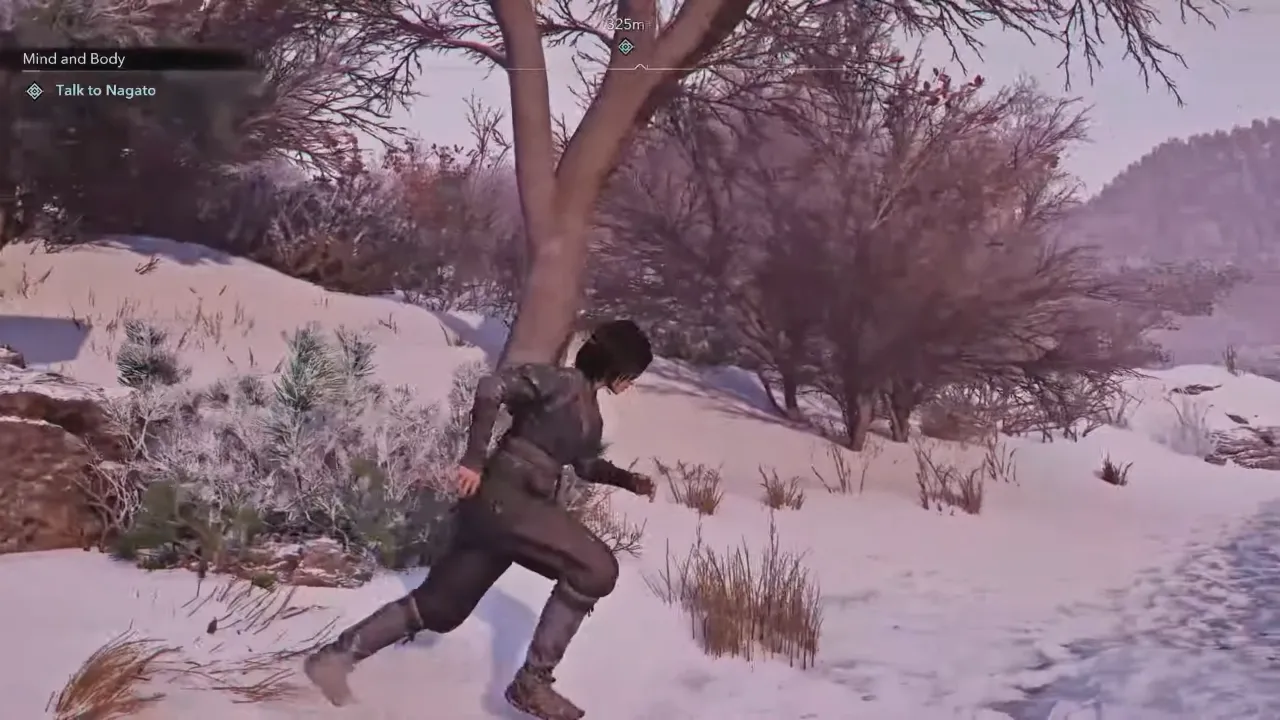 Seasonal system in Assassin's Creed Shadows is a thing to appreciate.