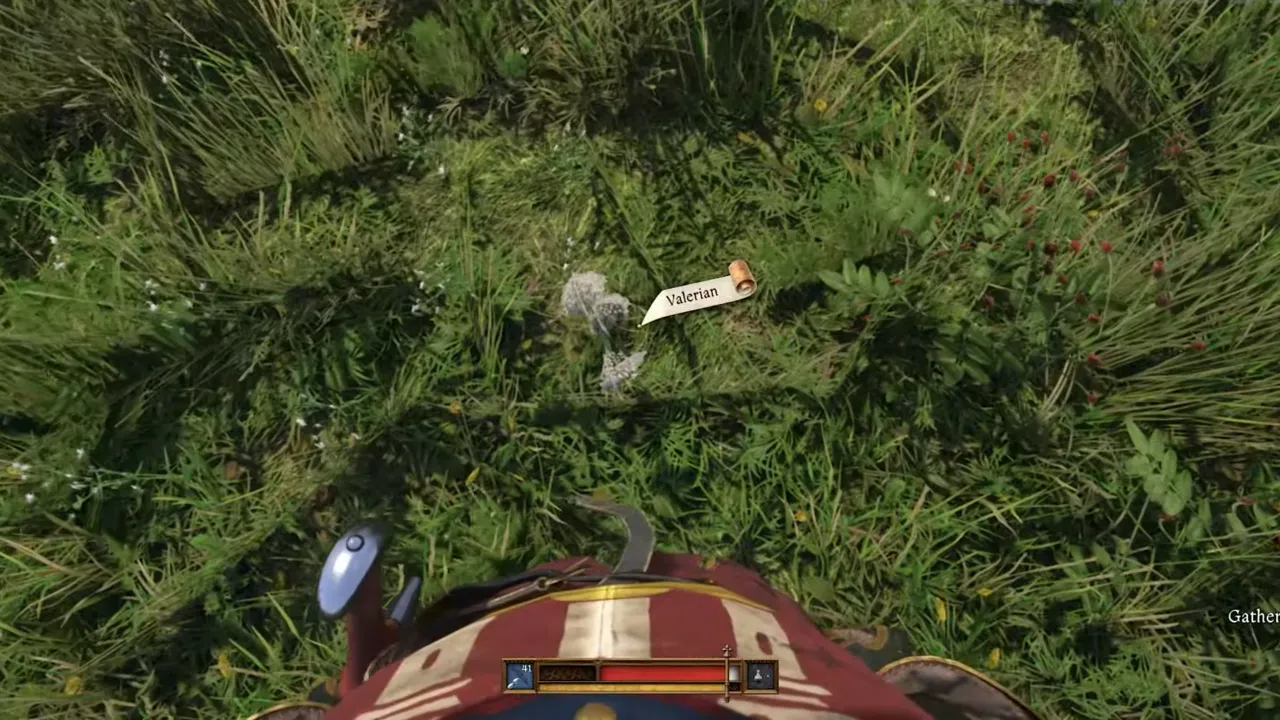 Valerian Flower in Kingdom Come 2 during Source of Inspiration side quest.