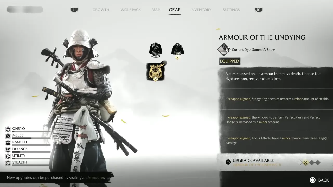 Armor of the Undying Effects and Perks