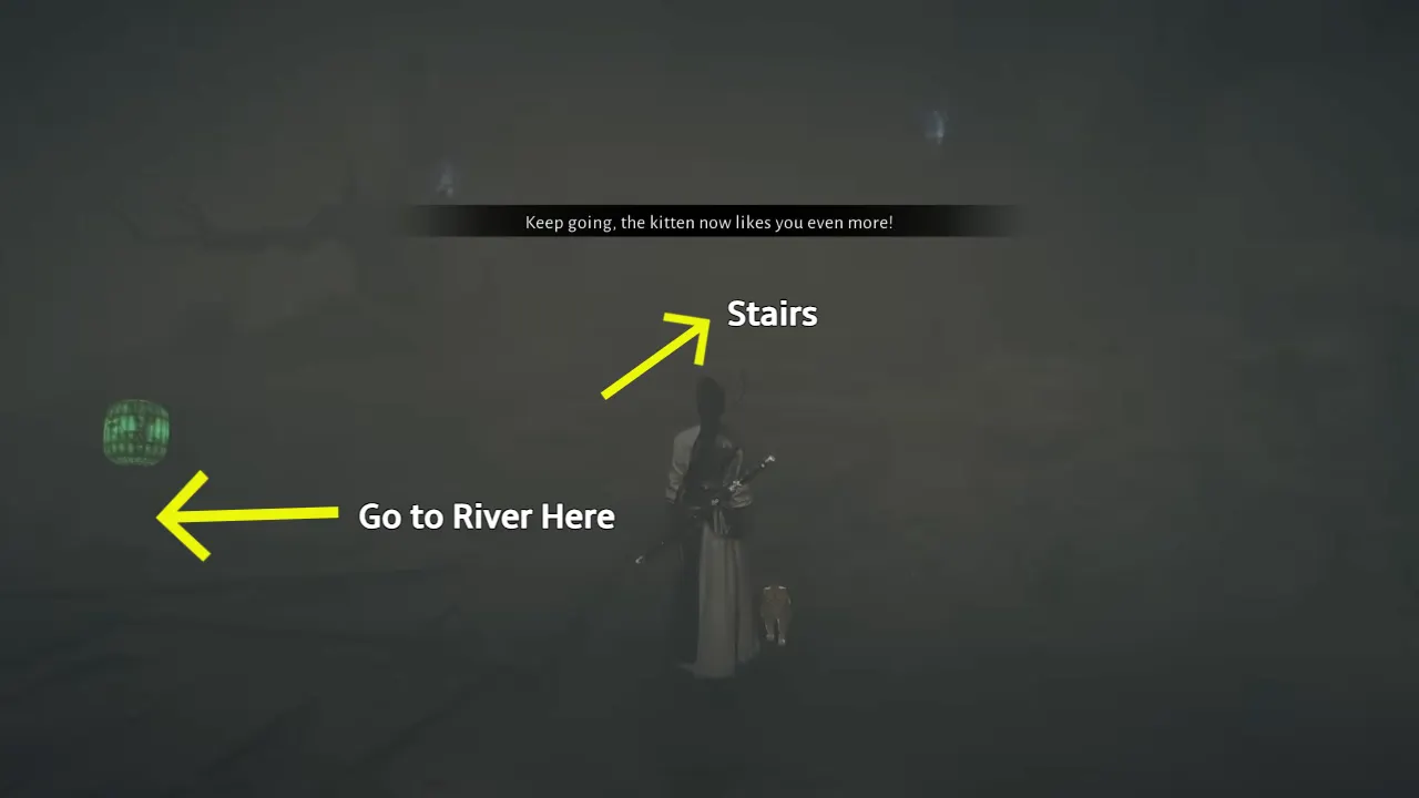 Standing near cat with stairs on right and left path to Jin Yunhai