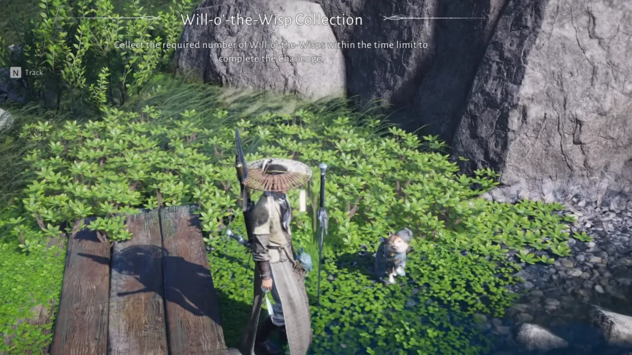 Meow Meow Treasure Challenge