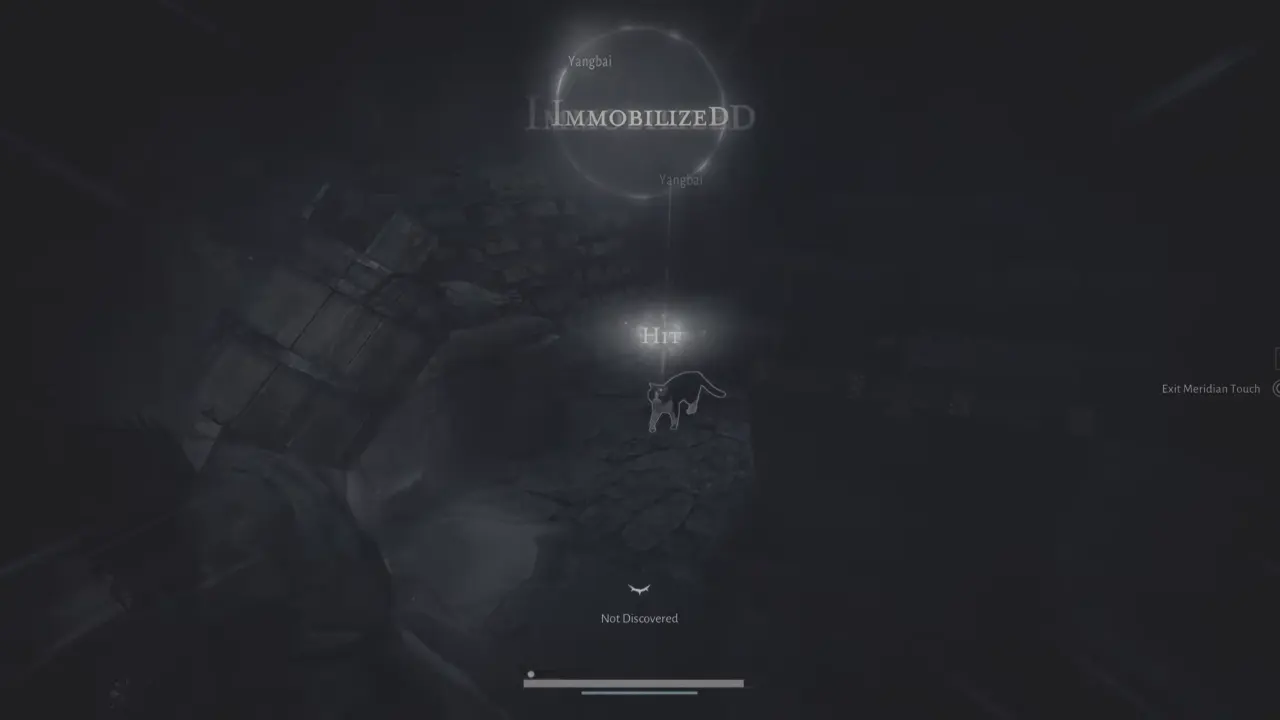 Using Meridian Touch to immobilize the cat