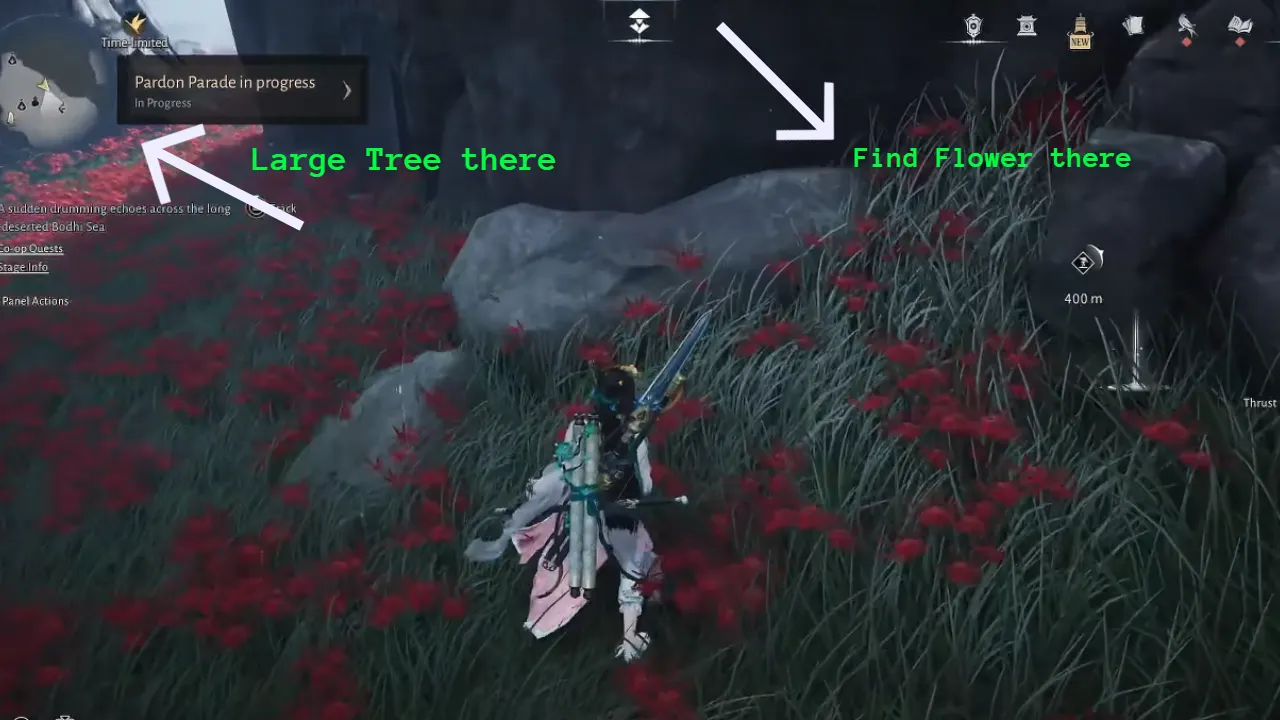 WWM - flower exact place marked