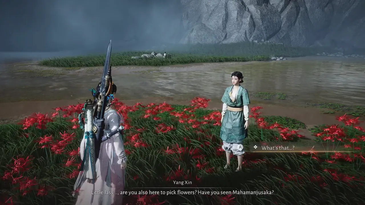 Yang Xin - Where Winds Meet