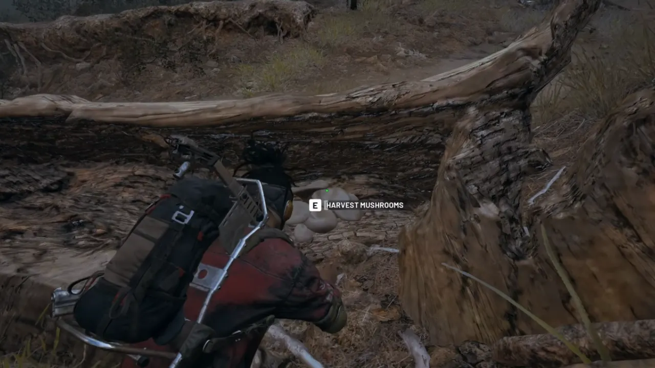 Lush Blooms Map Modifier - ARC Raiders