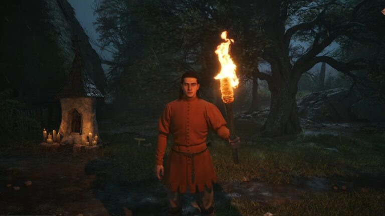 How to Use a Torch in The Blood of Dawnwalker
