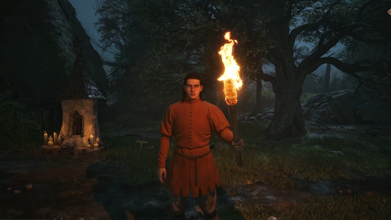 How to Use a Torch in The Blood of Dawnwalker