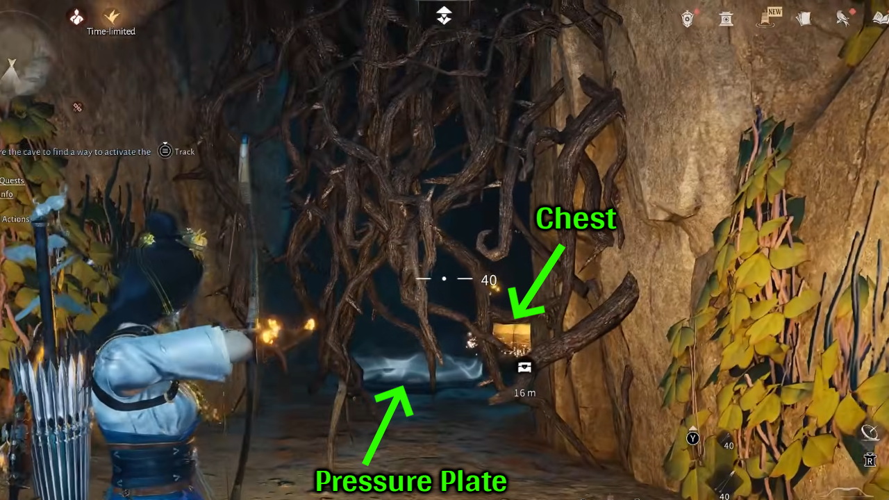 Pressure plate and chest marked inside cave behind tree branches